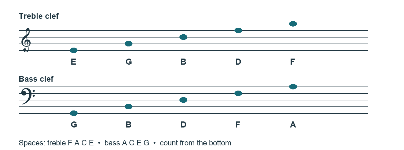 Treble staff lines E G B D F and bass staff lines G B D F A, from bottom to top.
